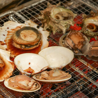 江ノ島おさかなセンター_1