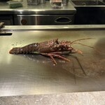 神楽坂 鉄板焼 向日葵 - 