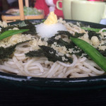 戸隠 富士店 - 磯おろし 大々盛り 880円➕150円