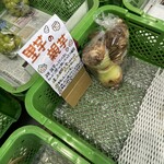 道の駅 風の家 - 