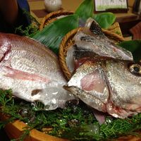 魚めし 竹亭 - 