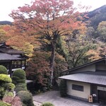 とうふ遊び 豆らく - 