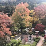 とうふ遊び 豆らく - 