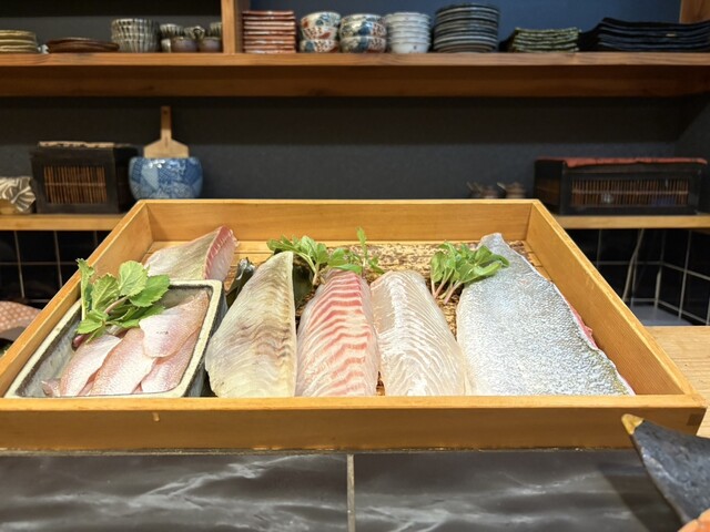 Akashi Zushi photo 4