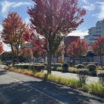 インデアンレストラン  ニューミラ - 