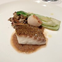 THE COSMOPOLITAN GRILL BAR TERRACE - 