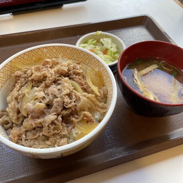 Sukiya Akihabara Eki Iwamotocho Ten