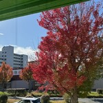 インデアンレストラン  ニューミラ - 