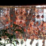 曄 - 秋を感じさせますね～