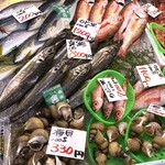 割鮮しんとく - バイ貝やとらえび、甘海老、ノドグロ