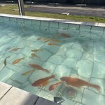 レストラン サダフ - 