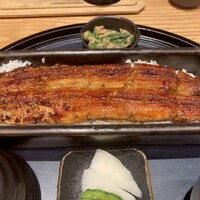 うなぎ四代目菊川 ミッドランドスクエア 名古屋本店 - 