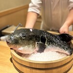 ふぐまどんな - 