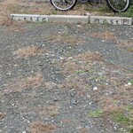 リトルネスト - 