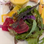 リトルネスト - 