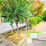 ビストロ コゥジィ - 駅前の"玉川上水遊歩道"。右が"玉川上水"、左が旧"駅ホーム"。