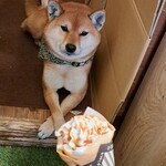 うーたんはうす - 