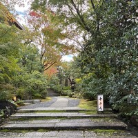 高台寺 十牛庵 - 