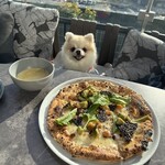 Rigo SPANISH ITALIAN - 