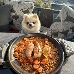 Rigo SPANISH ITALIAN - 