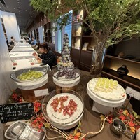 ゼックスウエスト サルヴァトーレ クオモブロス - 