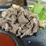 焼肉・ホルモンバル　Bovin - 