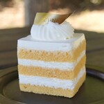 パティスリー リュニック - 料理写真:シャンティイ ソワニエ