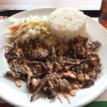 Mega Kebab 아이치 토우고우점 - 케밥 라이스・소고기