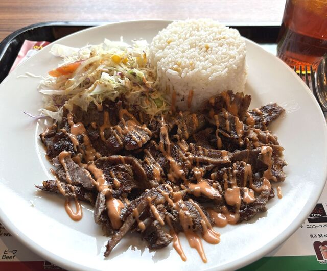 Mega Kebab Aichi Togo Ten photo 2