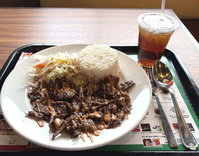 Mega Kebab Aichi Togo Ten