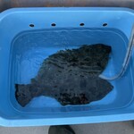 古民家ヌードゥル 黒揚羽森住 - 