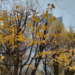 北海道議会 食堂 - 