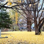 北海道議会 食堂 - 