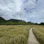 ラ コリーナ近江八幡 パンショップ - 