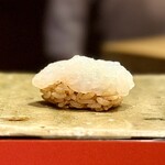 一石三鳥 - ◉アオリイカ