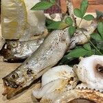 プラチナフィッシュ おもてなし Kakure - 本ししゃもお久しぶり