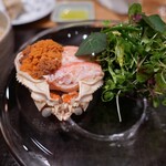 やまぐち - 間人のセコガニ