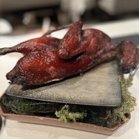 ジョンティ アッシュ - 