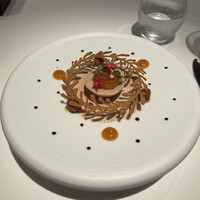 ジョンティ アッシュ - 