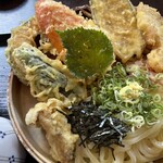 大地のうどん - 天ぷらの多さ
海苔 ネギ 生姜のせ
