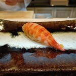 THE SUSHI TOKYO 旬 - 車海老