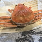 魚一 - 香箱ガニ（セコガニ）