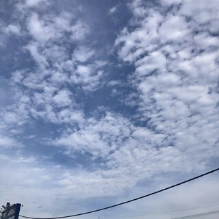 手打うどん 渡辺_1