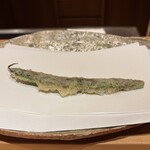 ぬま田 - しまささげ(飛騨)