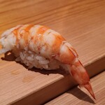 鮨 さかい - ⑱車海老(産地聞き忘れ)
      産卵も旬も初夏～初秋
      茹で立てをお弟子さんが熱々に耐えて剥きます
      車海老はぷりぷり、温かなシャリがググッと沈み込み、口に入れると華やかな甘みと旨味が押し寄せます