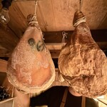 ペルトナーレ - 