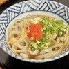 うどん さか枝