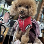 そば処 湧水 - ご機嫌なシェリ