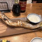 夜ノ焼魚 ちょーちょむすび - 