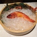 筑紫樓 - あかはた